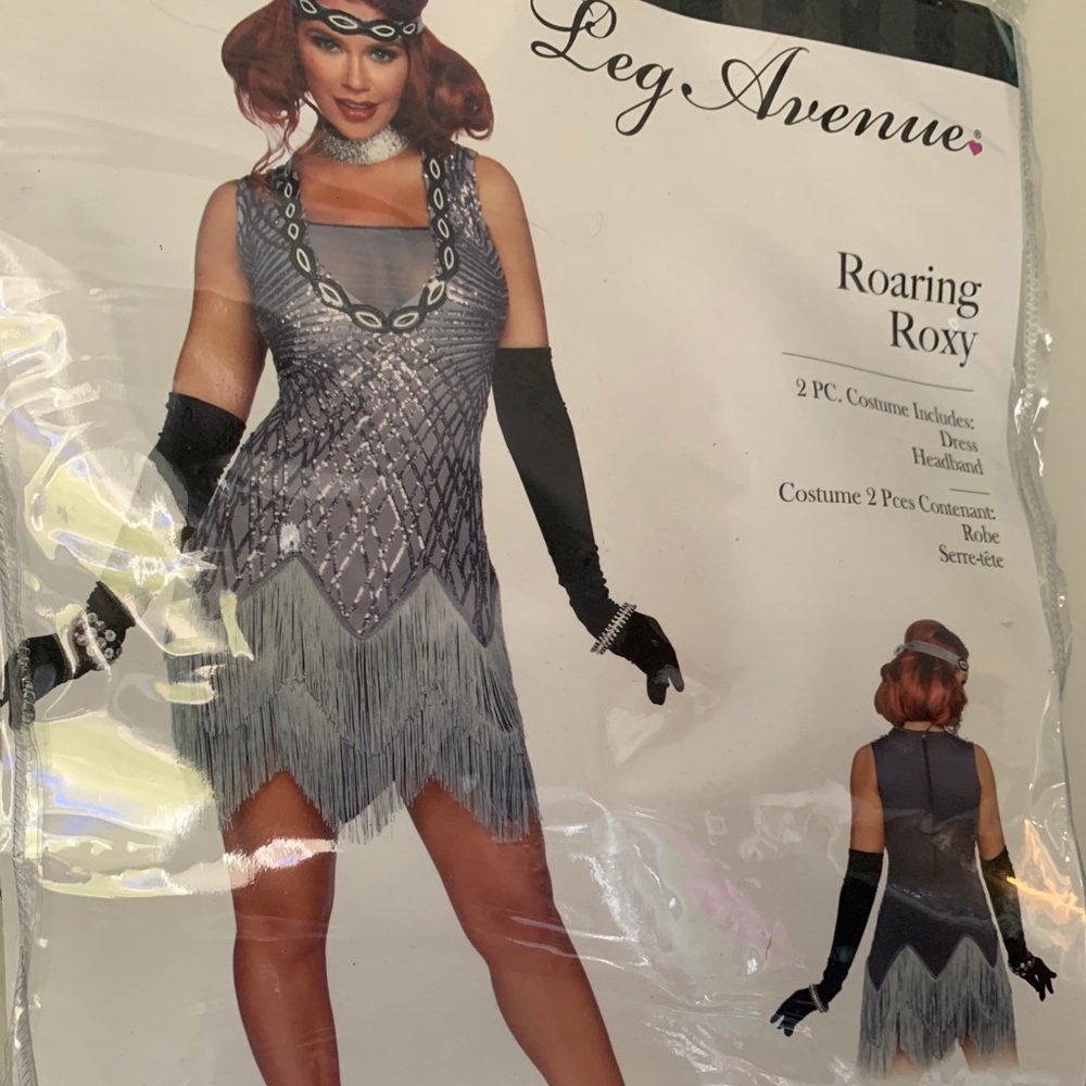 Silver 1920s Style Fringe Flapper Dress